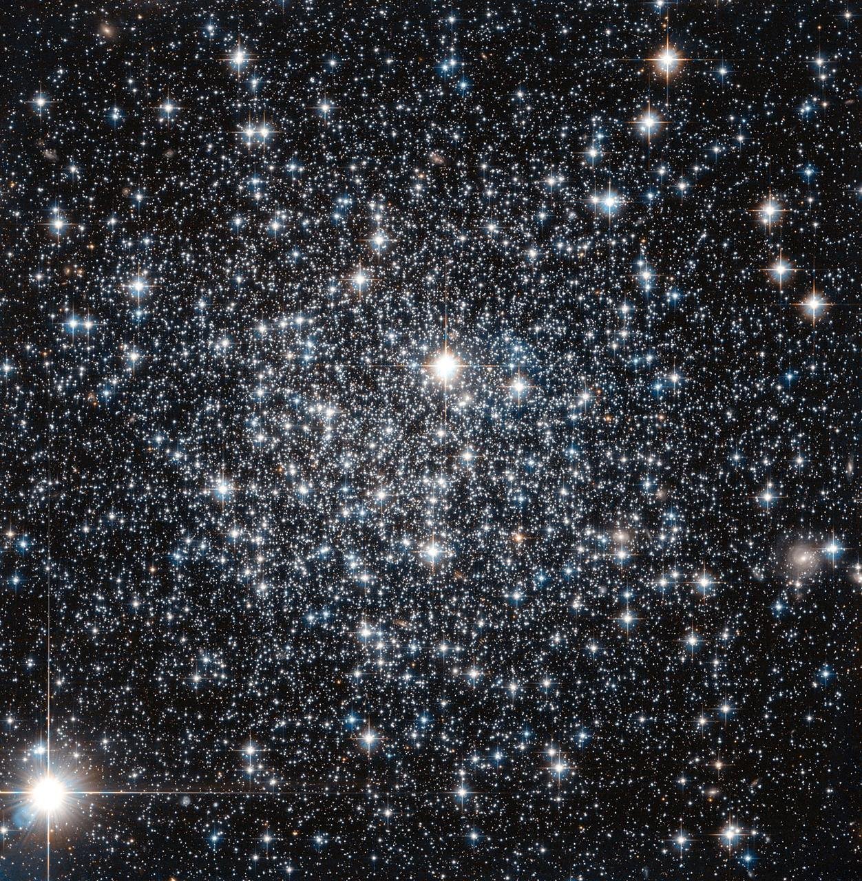 A dense globular star cluster.