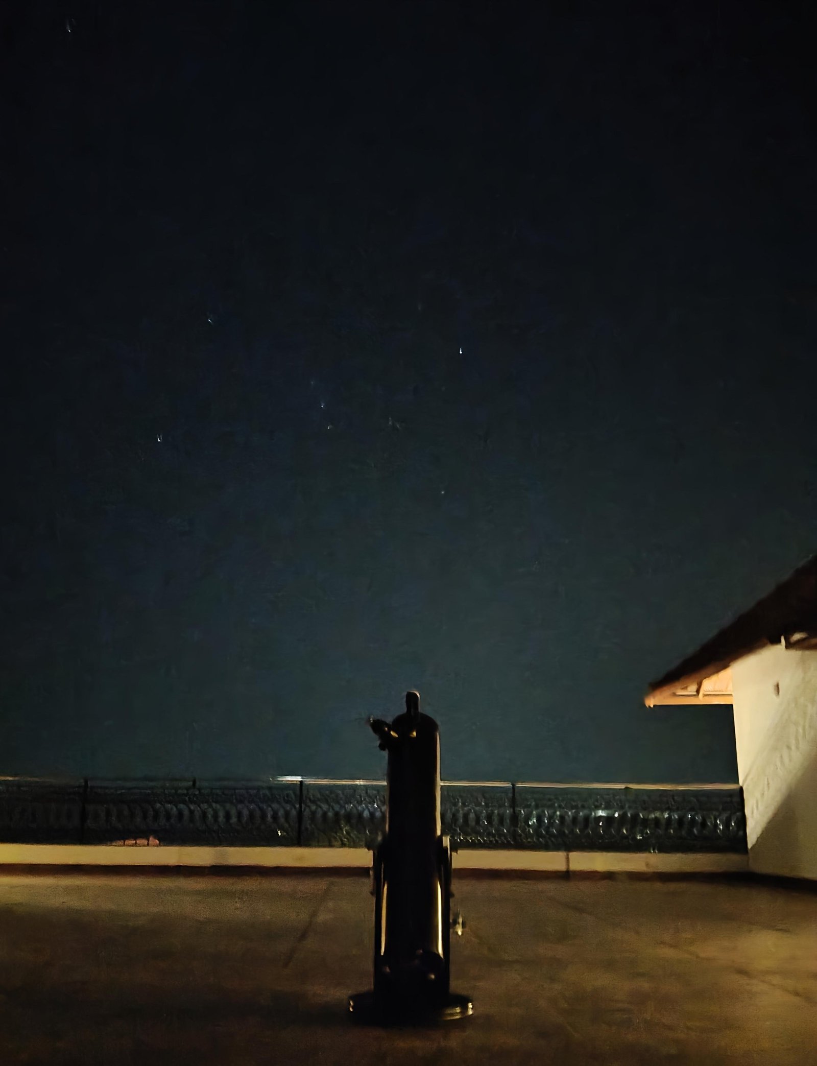 A visitor silhouetted at the observatory deck railing under a deep blue Himalayan night sky.